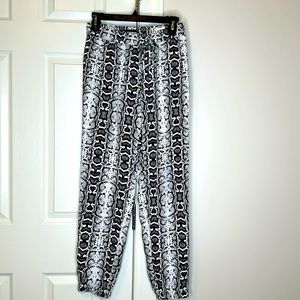 Express pants